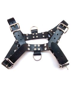 Rouge Over the Head Harness - Black