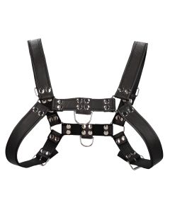 Shots Uomo Chest Bulldog Harness Large/XLarge